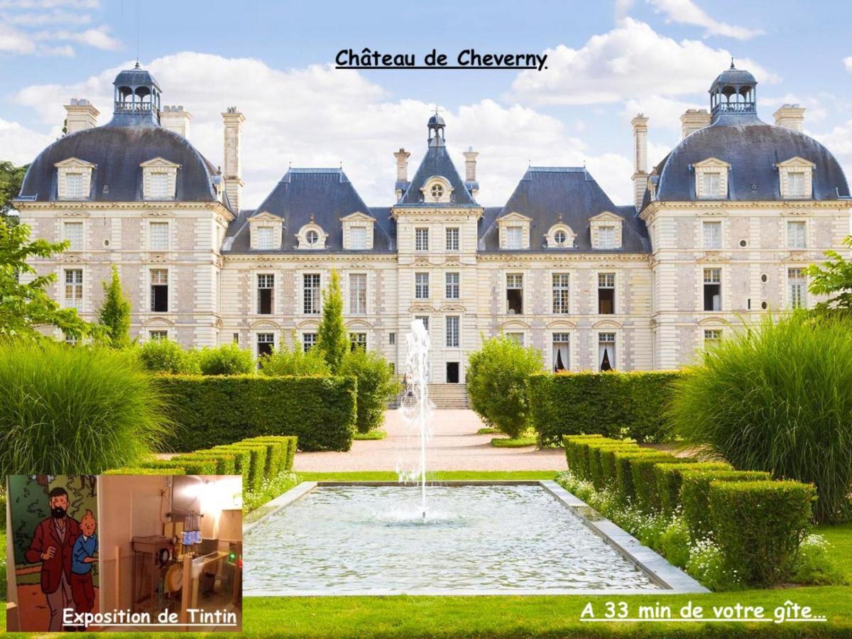 La Porte Aux Dames Romorantin-Lanthenay Esterno foto