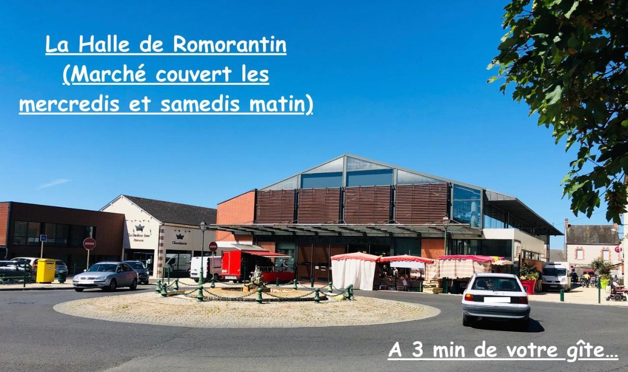 La Porte Aux Dames Romorantin-Lanthenay Esterno foto