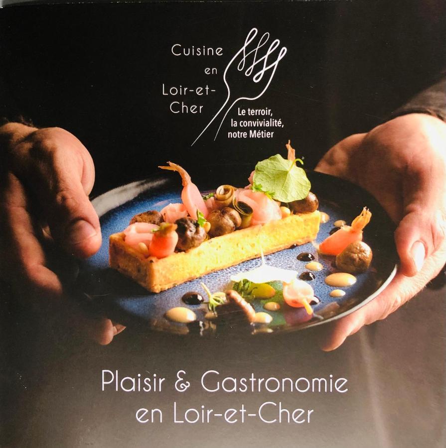 La Porte Aux Dames Romorantin-Lanthenay Esterno foto